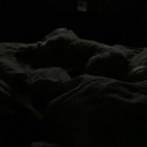 Meet your Posher, Eva